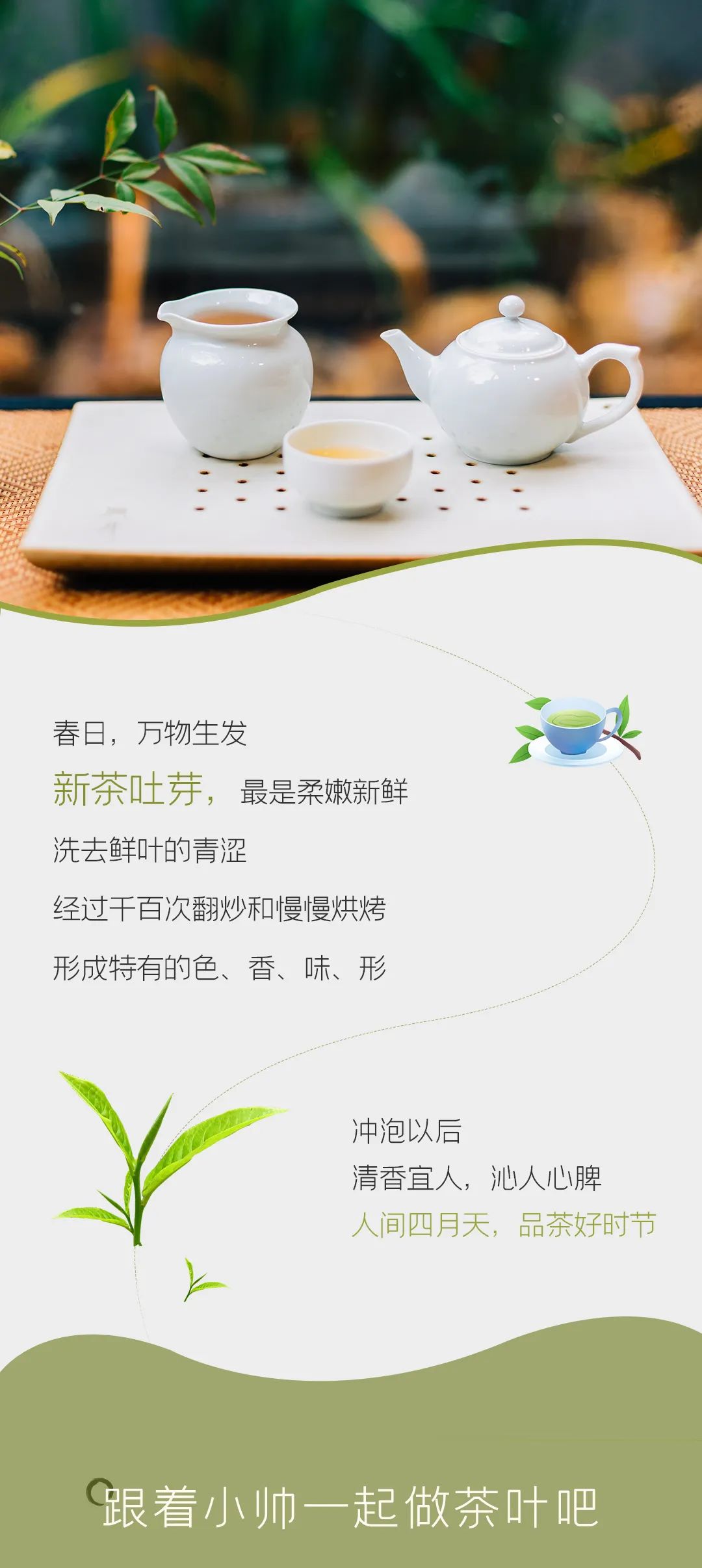 四食豐語|萬八千的春茶，自己在家就能做