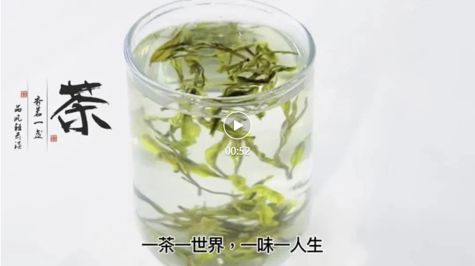 四食豐語|萬八千的春茶，自己在家就能做