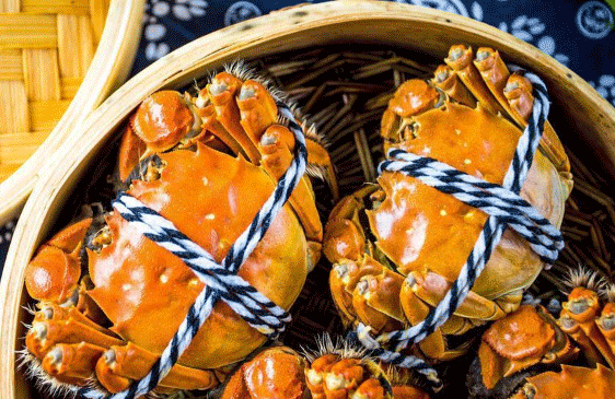 嗨翻618|鎖定帥豐直播間，開啟視覺+味覺盛宴！