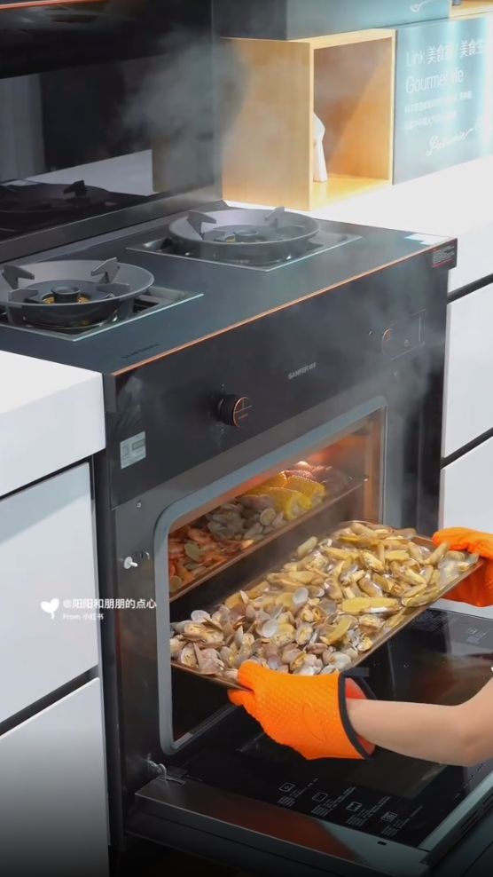 帥豐X6集成灶爆火出圈！抖音、小紅書達人合力推薦！