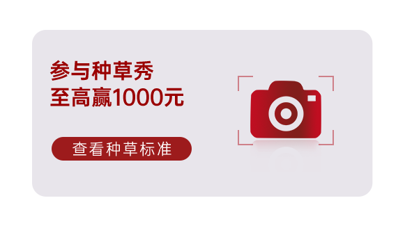 集成灶十大品牌帥豐電器雙11即刻出發(fā)，狂歡先人一步?。?title=