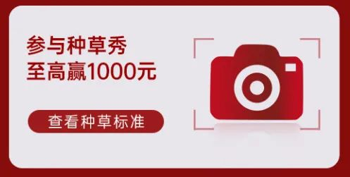 帥豐電器再奪全網(wǎng)第一！雙十一當天限時直降，狂歡最后一天！