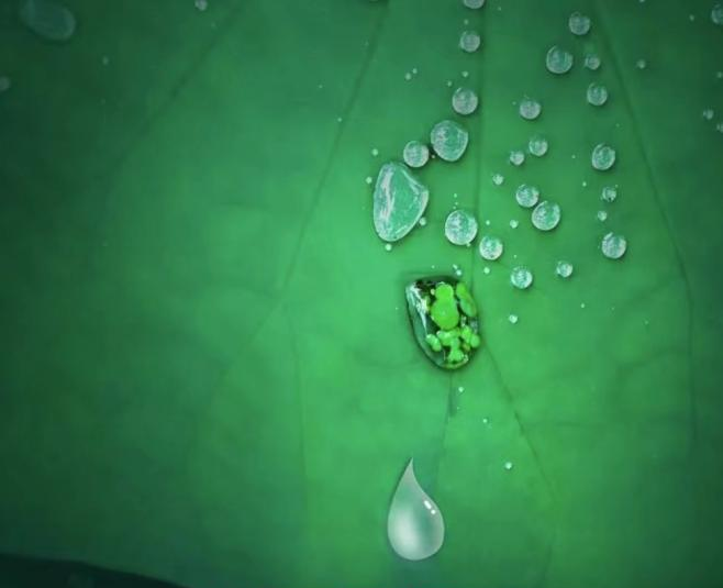 帥豐集成灶易清潔的秘密，探索晶鋼王面板的神奇“魔法”