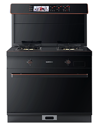 星辰X6蒸烤一體