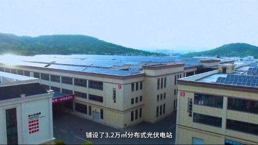 護(hù)生態(tài)，行低碳，集成灶品牌帥豐在行動！