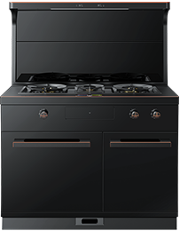 星辰X1雙子星蒸烤獨(dú)立(100Pro)