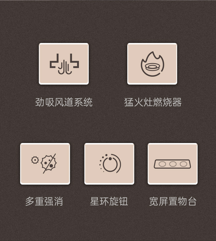 帥豐H1 合·家 消毒柜款集成烹飪中心