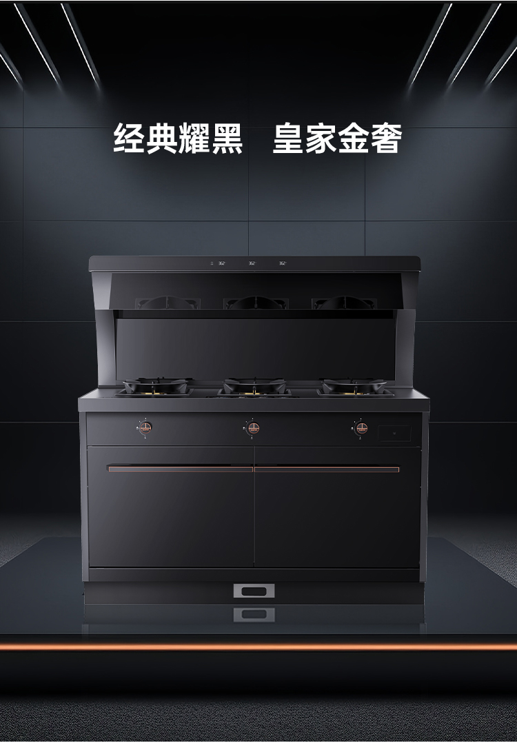 帥豐S69蒸烤獨立集成灶