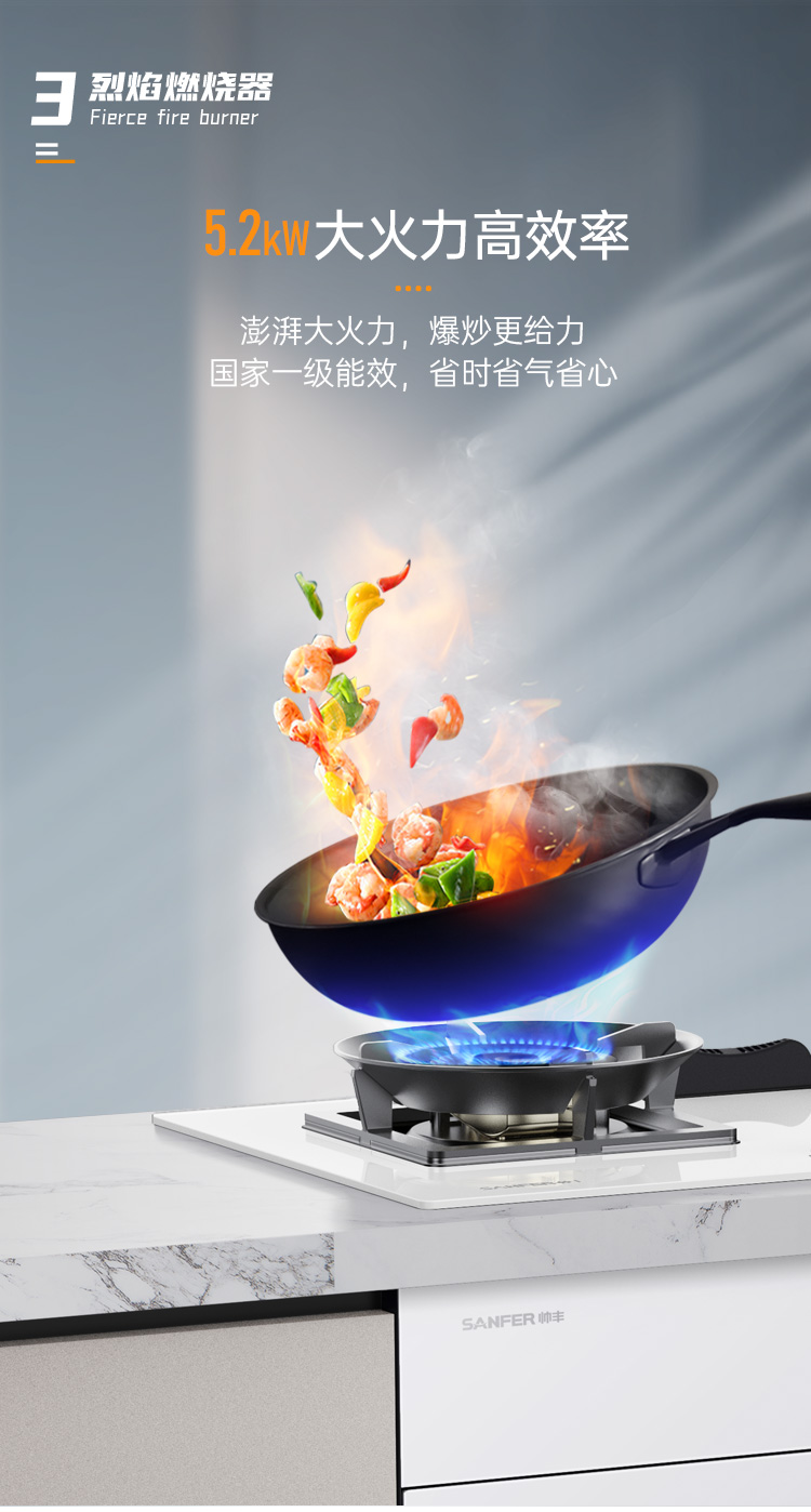 帥豐G5 歸·愛(ài) 蒸烤一體集成烹飪中心