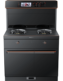 星辰X6蒸烤獨(dú)立