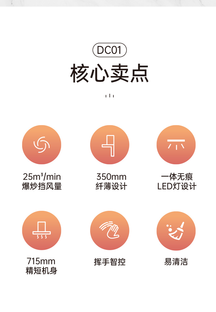 帥豐DC01上排煙機(jī)煙機(jī)灶具
