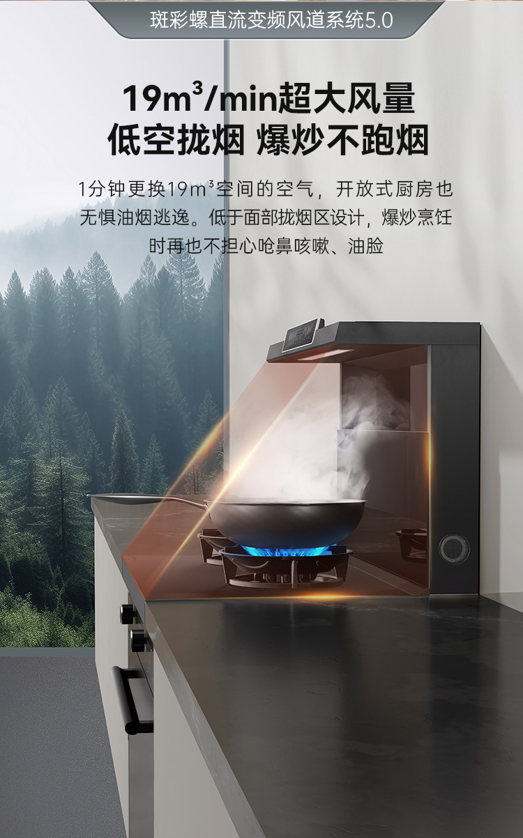 帥豐天機(jī)3消毒柜款（黑）集成灶