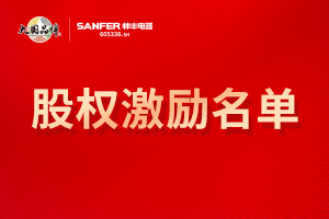 2021年限制性股票激勵計劃預(yù)留授予激勵對象名單