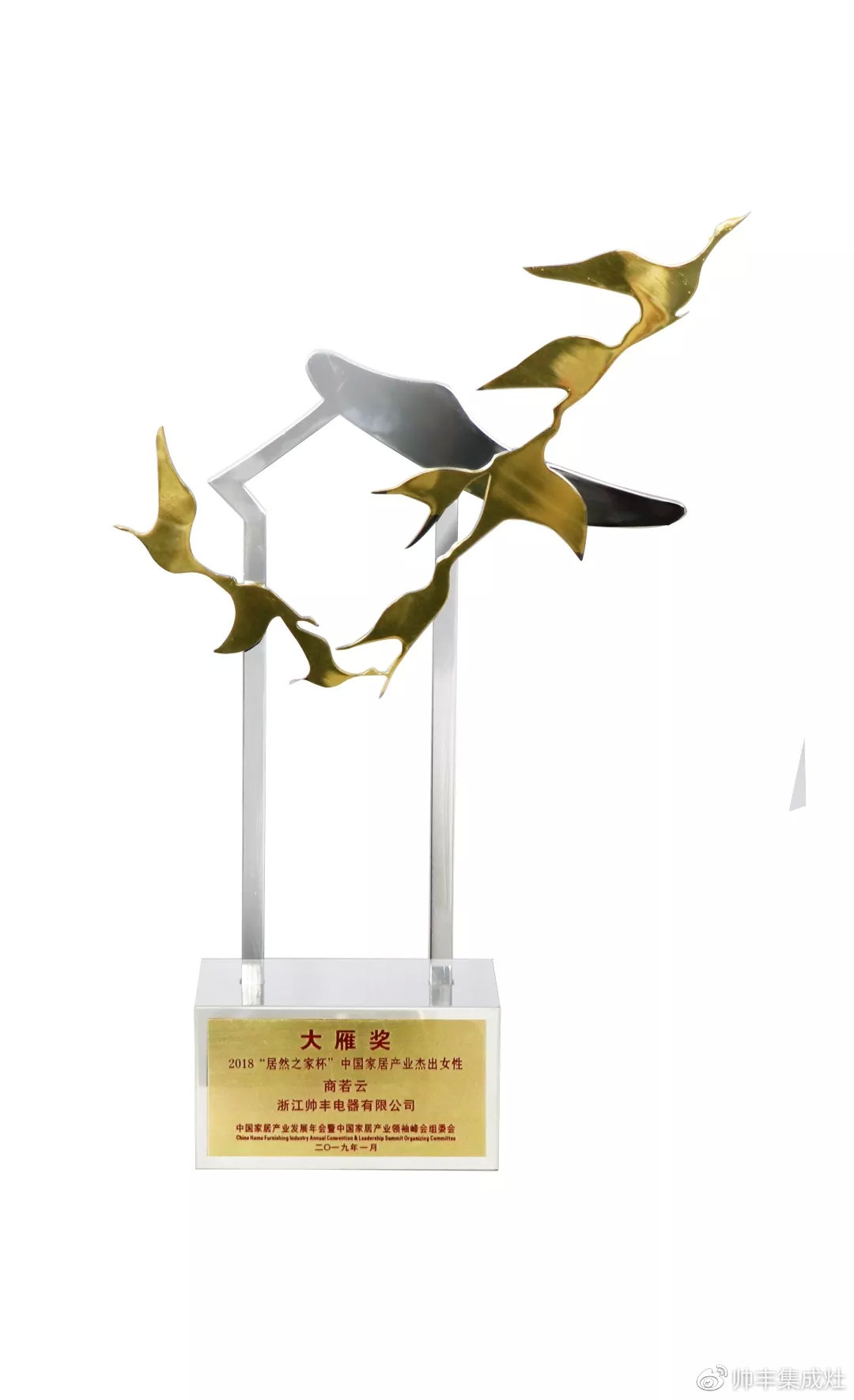 2019斬獲多項個人大獎，帥豐以董事長商若云為傲