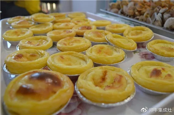 買集成灶選什么品牌？老用戶力薦選購(gòu)秘籍