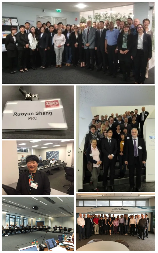 集成灶領(lǐng)軍品牌帥豐成首批省級標準國際化試點基地，加入產(chǎn)業(yè)國際化步伐