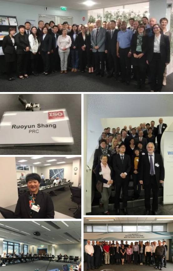 科技創(chuàng)新、標(biāo)準(zhǔn)引領(lǐng)、服務(wù)賦能，帥豐集成灶“奪冠”2021新增市場(chǎng)